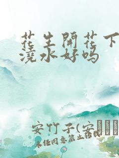 花生开花下针期浇水好吗