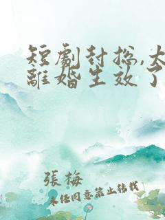 短剧封总,太太离婚生效了