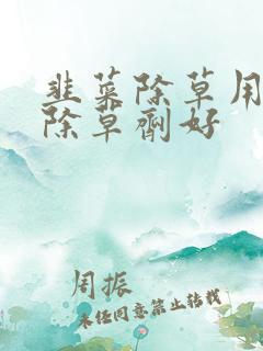 韭菜除草用什么除草剂好