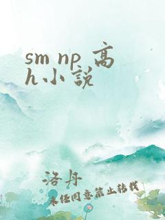 sm np 高h小说