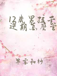 12岁男孩子叛逆期怎么管教最合适