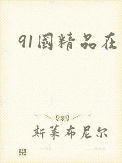 91国精品在线