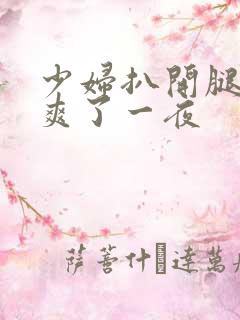 少妇扒开腿让我爽了一夜