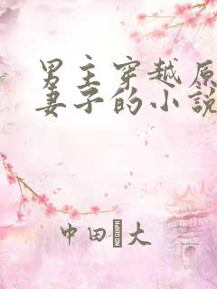 男主穿越原主有妻子的小说