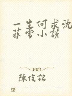一生何求沈浩秦菲雪小说