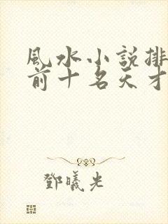 风水小说排行榜前十名天才相师