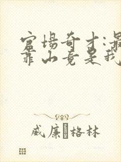 官场奇才:最强靠山竟是我自己李澜全文阅