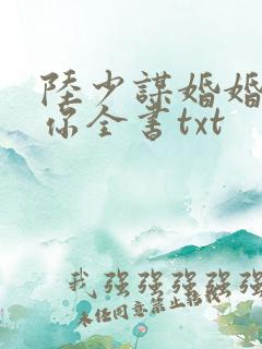 陆少谋婚婚不由你全书txt