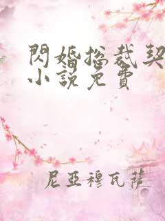闪婚总裁契约妻小说免费