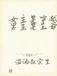 女主是穿越的,男主是王爷