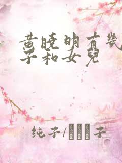 黄晓明有几个儿子和女儿