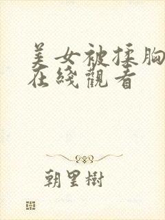 美女被揉胸视频在线观看