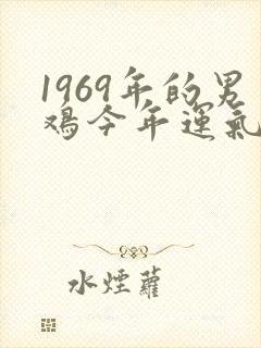 1969年的男鸡今年运气好吗