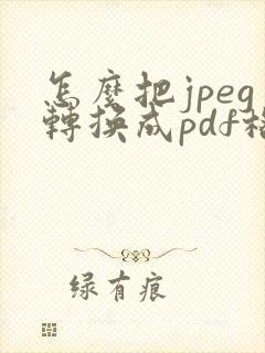 怎么把jpeg转换成pdf格式