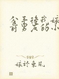 分手后我嫁给了前男友的小叔小说