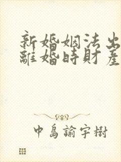 新婚姻法出轨方离婚时财产怎么判