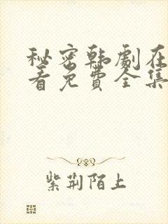 秘密韩剧在线观看免费全集电视剧高清