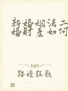 新婚姻法二婚离婚财产如何分割