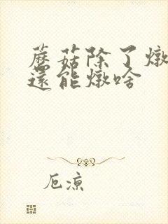 蘑菇除了炖小鸡还能炖啥