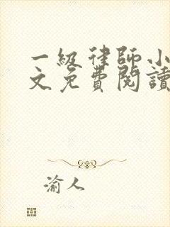 一级律师小说全文免费阅读正版