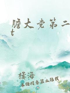 胆大党第二季bt