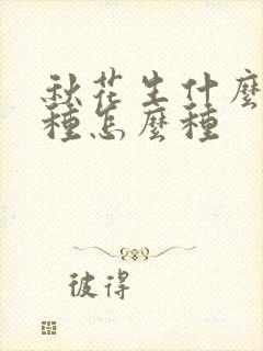 秋花生什么时候种怎么种