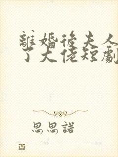 离婚后夫人她成了大佬短剧