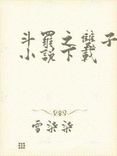 斗罗之双子斗罗小说下载