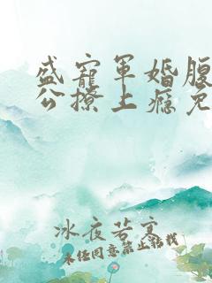 盛宠军婚腹黑老公撩上瘾免费