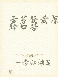 舌苔发黄厚腻口干口苦