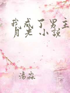 我成了男主的白月光 小说