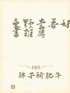 东野圭吾好看的书推荐