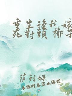 重生后我嫁给了死对头 椰子絮