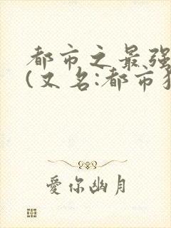 都市之最强狂兵(又名:都市狂枭)+小说