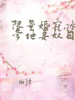 限量婚宠,冰山爹地妻奴日常在线全集