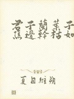 君子兰叶子发黄焦边干枯如何补救