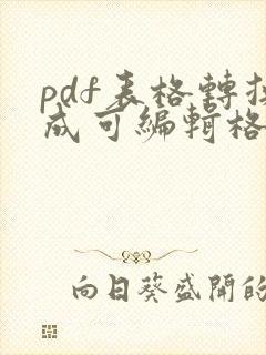 pdf表格转换成可编辑格式