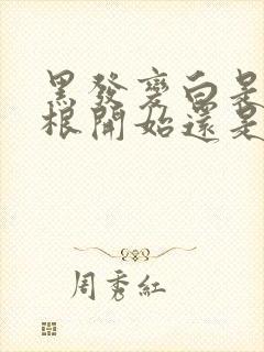 黑发变白是从发根开始还是从发梢开始
