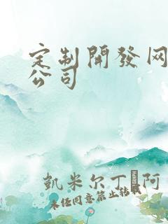 定制开发网站的公司