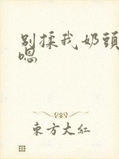 别揉我奶头啊 嗯