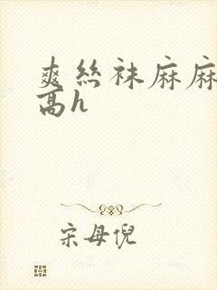 爽丝袜麻麻…快高h