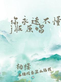 你永远不懂我dj版原唱