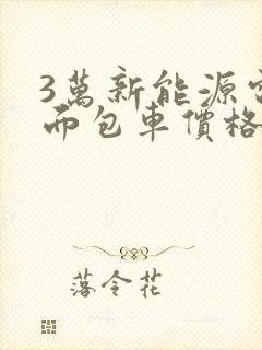 3万新能源电动面包车价格