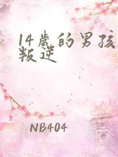 14岁的男孩子叛逆