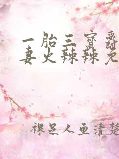 一胎三宝爵爷宠妻火辣辣免费阅读