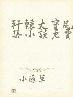 轩辕大宝风流全集小说免费阅读