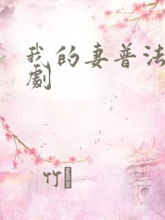 我的妻普法栏目剧