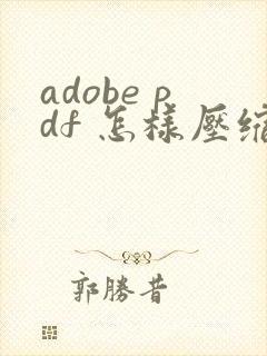 adobe pdf 怎样压缩文件大小