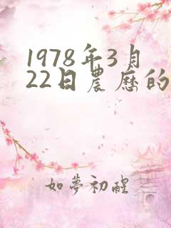 1978年3月22日农历的命运