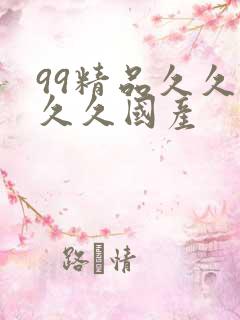 99精品久久久久久国产